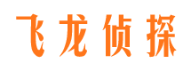 高阳情人调查